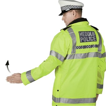 Движение разрешено для транспорта сзади